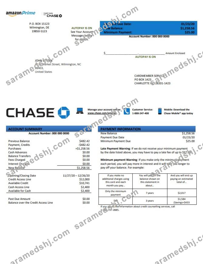 USA Chase bank credit card statement template in .doc and .pdf format